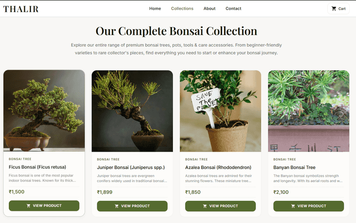 Thalir – Premium Bonsai Studio